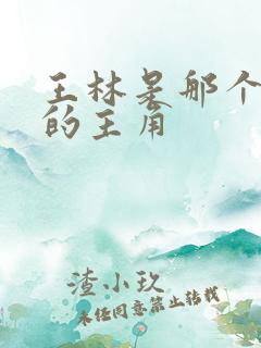 王林是那个小说的主角