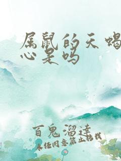 属鼠的天蝎男花心是吗