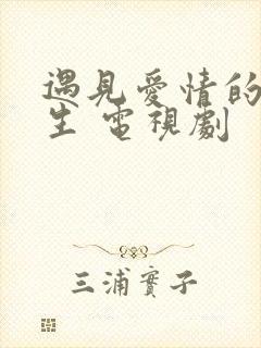 遇见爱情的利先生 电视剧