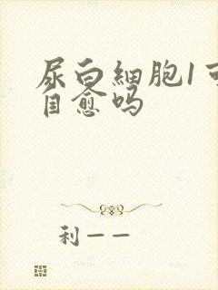 尿白细胞1可以自愈吗