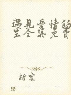 遇见爱情的利先生全集免费