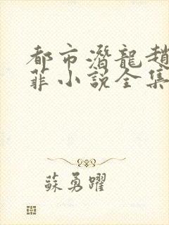 都市潜龙赵东苏菲小说全集精校版下载