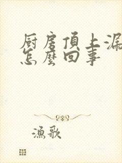 厨房顶上漏水是怎么回事