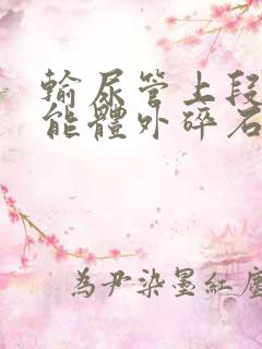 输尿管上段结石能体外碎石吗