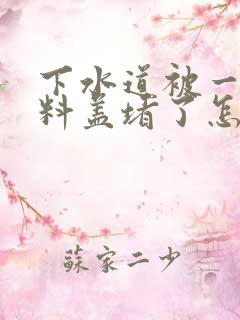 下水道被一个塑料盖堵了怎么办