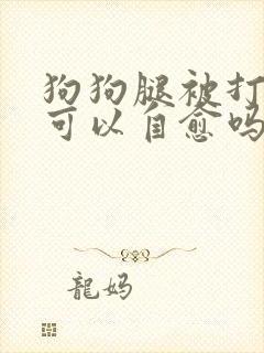 狗狗腿被打瘸了可以自愈吗