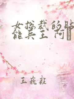 女总裁的贴身全能兵王 阿甡