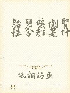 胎儿双侧肾盂液性分离是什么意思