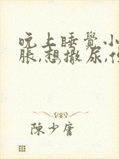 晚上睡觉小腹坠胀,想撒尿,但尿不出