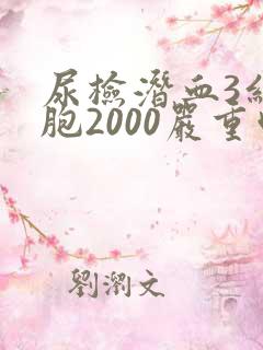 尿检潜血3红细胞2000严重吗