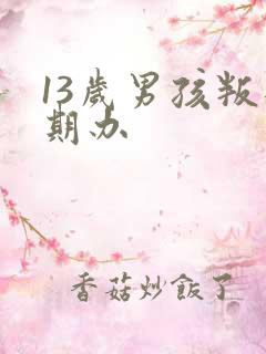 13岁男孩叛逆期办