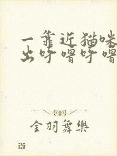 一靠近猫咪就发出呼噜呼噜的声音