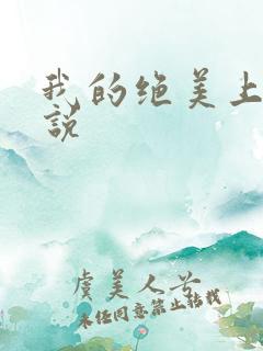 我的绝美上司小说