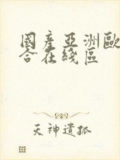 国产亚洲欧美综合在线区