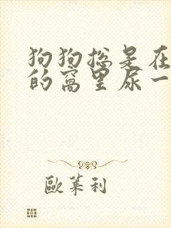 狗狗总是在新换的窝里尿一泡