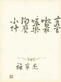 小狗咳嗽有痰吃什么药最管用