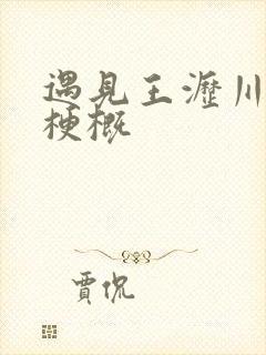 遇见王沥川剧情梗概