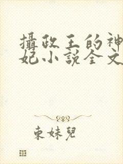 摄政王的神医狂妃小说全文