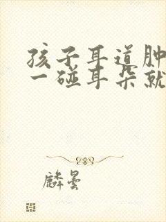 孩子耳道肿了,一碰耳朵就疼