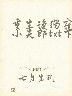 重生后独宠灾星小夫郎txt下载