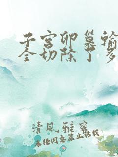 子宫卵巢输卵管全切除了多久能恢复