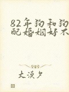 82年狗和狗相配婚姻好不好