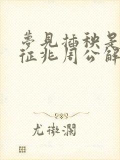 梦见插秧是什么征兆周公解梦