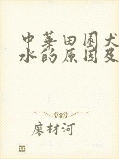 中华田园犬吐黄水的原因及治疗方法