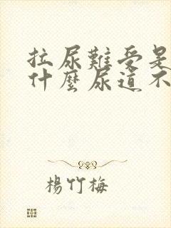 拉尿难受是因为什么尿道不舒服