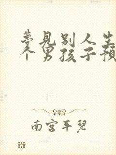 梦见别人生了两个男孩子预示什么