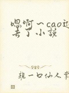 嗯啊～cao进去了小说
