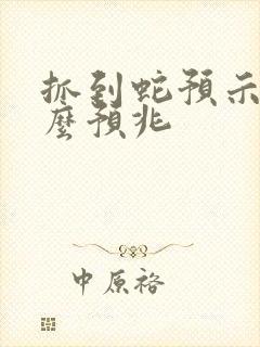 抓到蛇预示着什么预兆