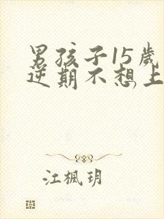 男孩子15岁叛逆期不想上学怎么办