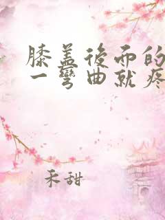 膝盖后面的腿窝一弯曲就疼