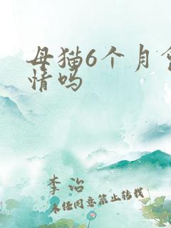 母猫6个月会发情吗