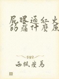 屁眼通红火辣辣的痛什么原因