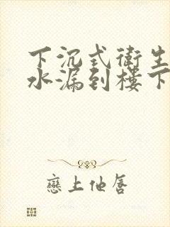 下沉式卫生间漏水漏到楼下要怎么维修