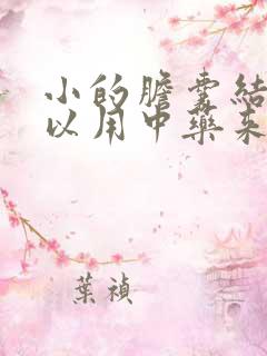 小的胆囊结石可以用中药来排石吗