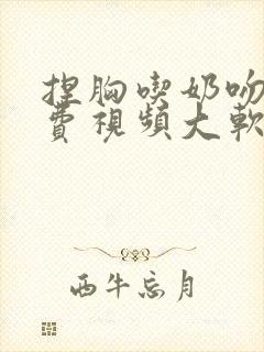 捏胸吃奶吻胸免费视频大软件