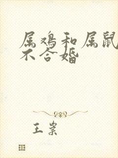 属鸡和属鼠的合不合婚