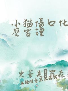 小猫伤口化脓怎么处理