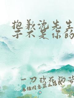 抱歉沈先生,孩子不是你的合集免费播放