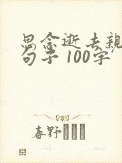 思念逝去亲人的句子 100字