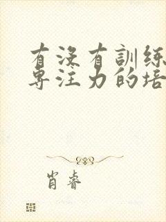 有没有训练小孩专注力的培训班?