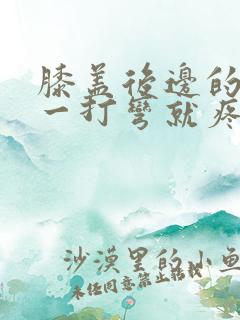 膝盖后边的腿窝一打弯就疼