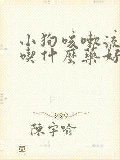 小狗咳嗽流鼻涕吃什么药好得快