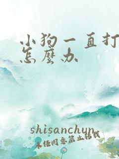 小狗一直打喷嚏怎么办