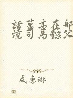 诸葛亮在哪里火烧司马懿父子