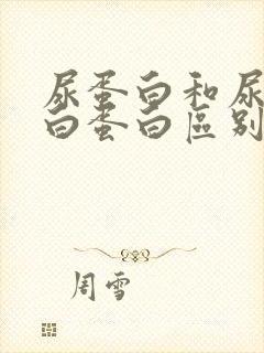 尿蛋白和尿微量白蛋白区别