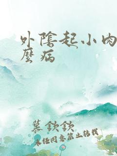 外阴起小肉芽什么病